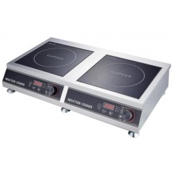 Индукционная плита Gooder TC 352