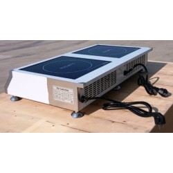 Индукционная плита Gooder TC 352