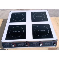 Индукционная плита Gooder TC 354