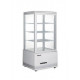 Шкаф холодильный настольный FROSTY RT78L-1D white (белая)